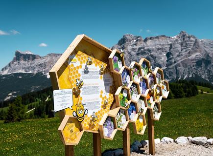 Movimënt dles ês - La fantastica area dedicata al mondo delle api