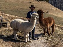 Dolomites Farm - Bio-ethical farming