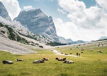 Hike from San Cassiano to the Fanes Plateau