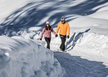 Winterwanderung auf den Armentarola/Saré-Wiesen