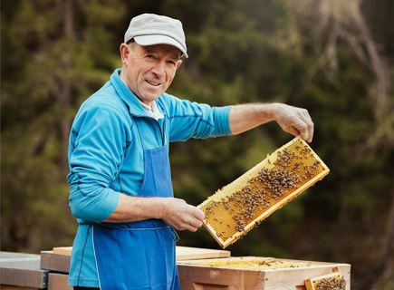 Nos Ladins - La preparazione del miele
