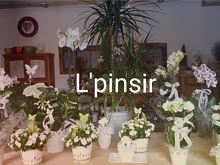 L'Pinsir
