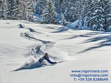 Ski instructor Ingo Irsara